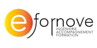 E-fornove Logo